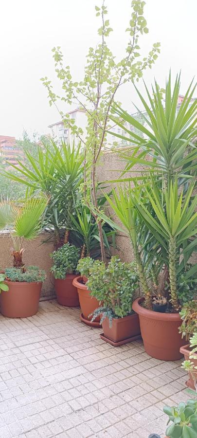 Apartamento Principe Caces 外观 照片